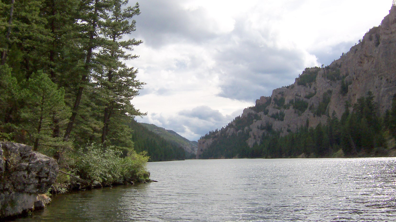 River with evergreen trees on the left and mountains in the distance